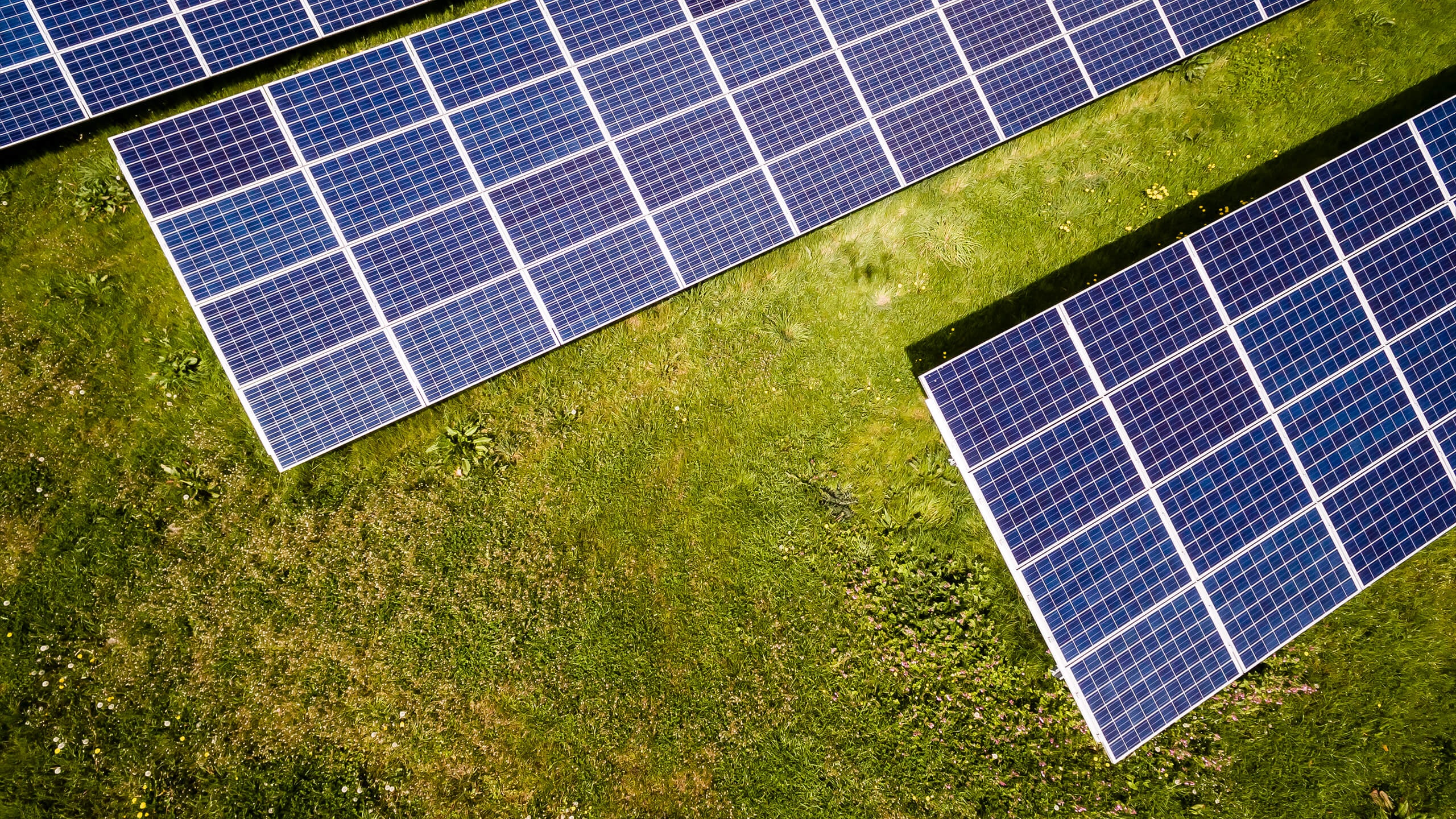 FIVE MONEY-SAVING GREEN UPGRADES