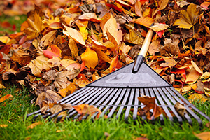 FALL LANDSCAPING: PREPARE YOUR YARD FOR WINTER
