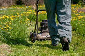 EARLY SPRING LAWN CARE TIPS TO REVIVE YOUR FROZEN TURF