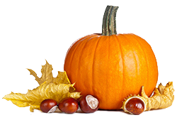 PUMPKIN PULP WILL SCARE YOUR DISPOSAL TO DEATH