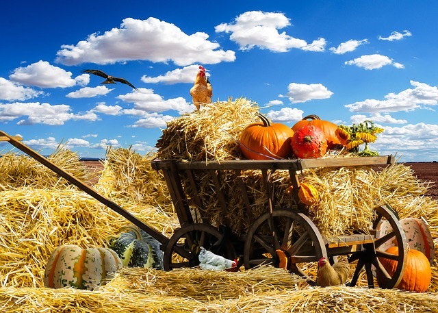 Proposed Tax Law Changes & Real Estate: Chicken Little vs. Reality