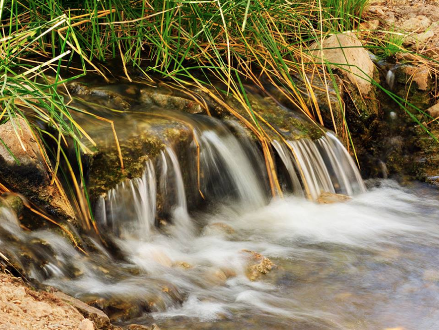 Fun Places in Gilbert, AZ to Get Outside and Enjoy this Beautiful Weather!
