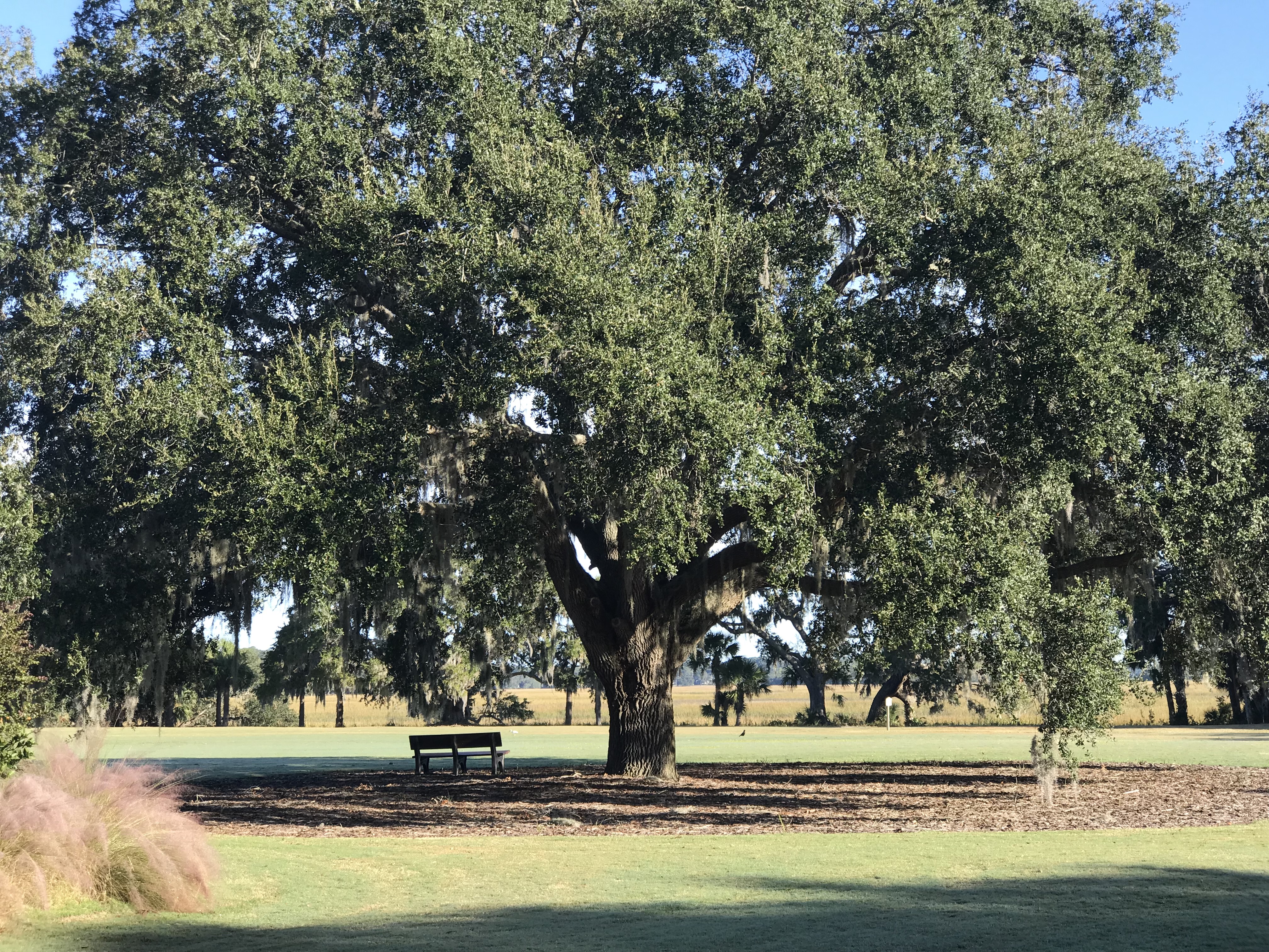 Baynard Park is hiding in plain sight
