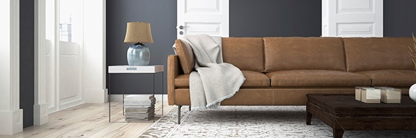 How to Keep Your Home Allergy Free