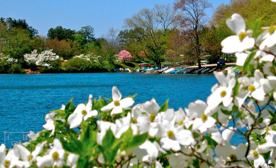 LAKE VIEW PARK