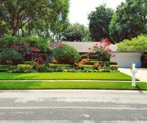 The 8 Reasons We Dig Carrollwood