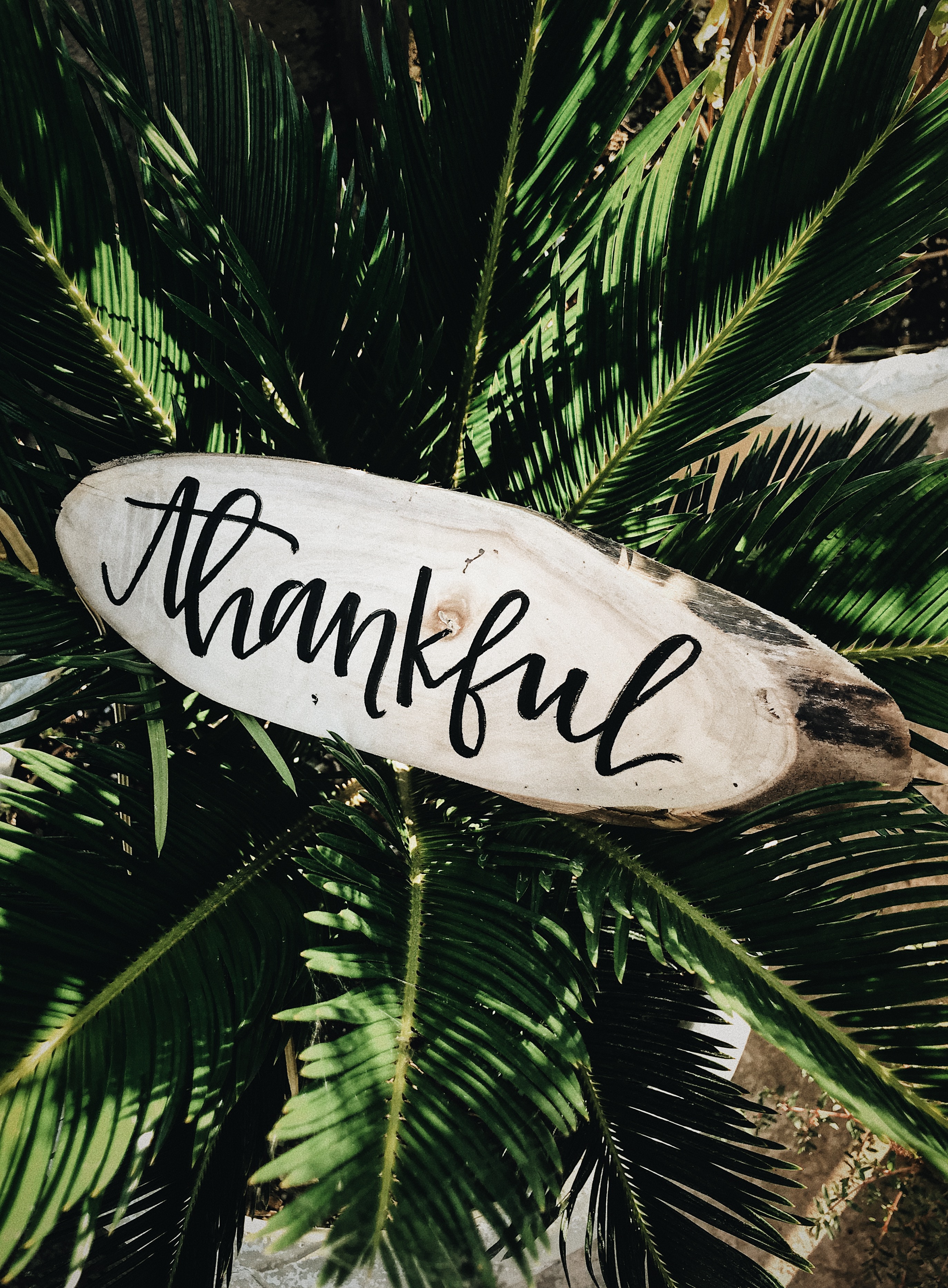 Thankful - 2017