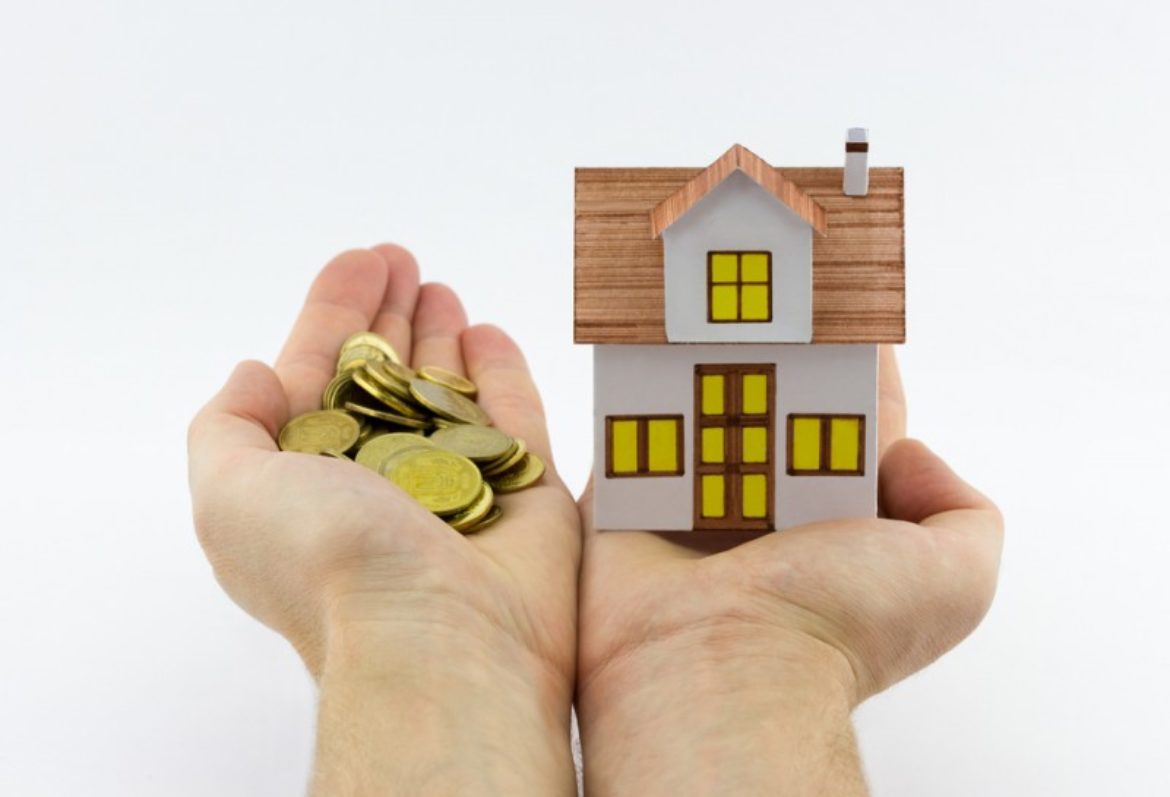 Government Loans