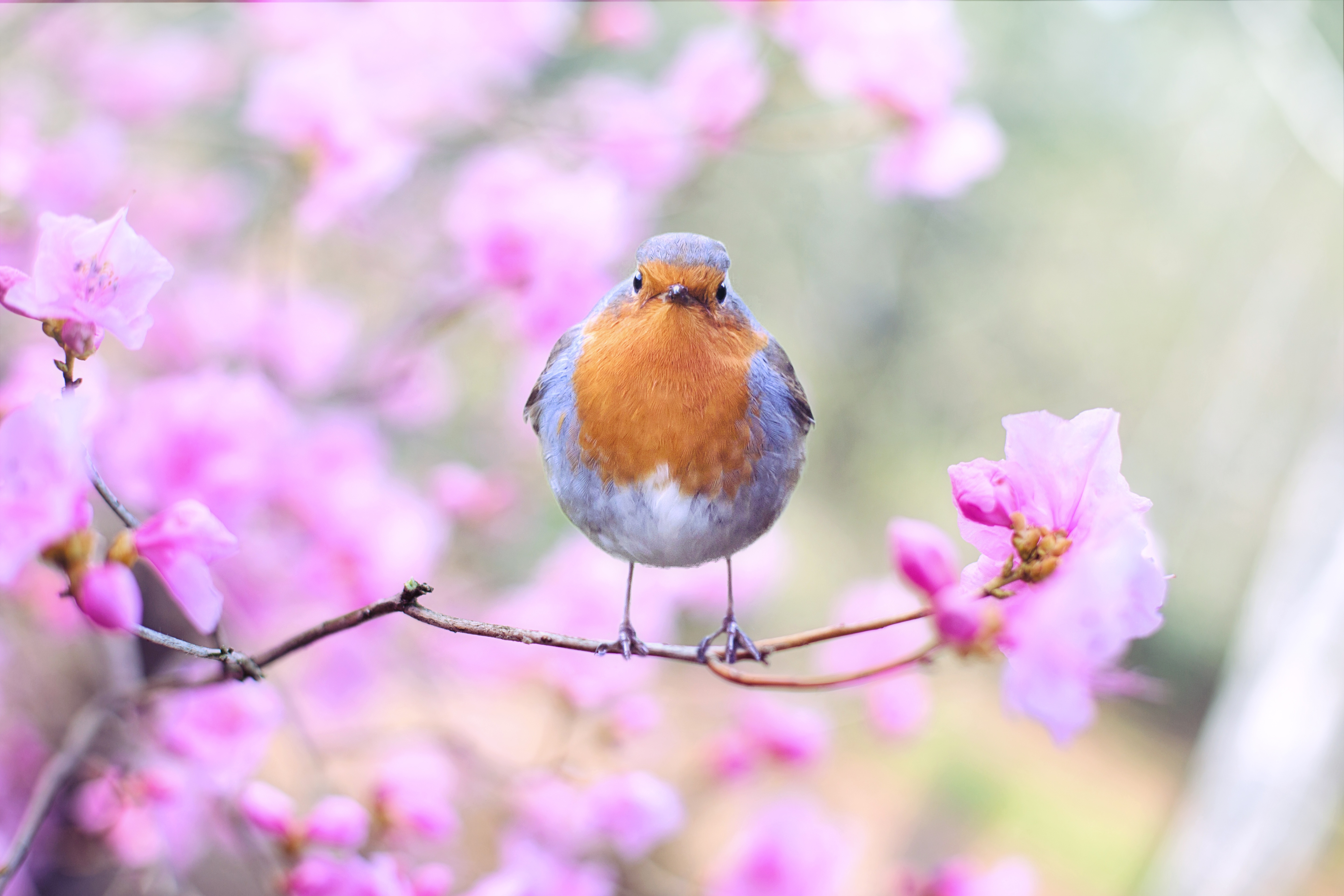 Spring Selling Tips