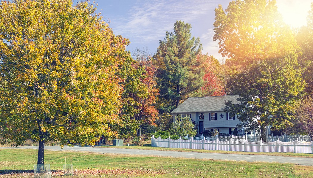 Homebuyer Demand Remains Strong in September | October