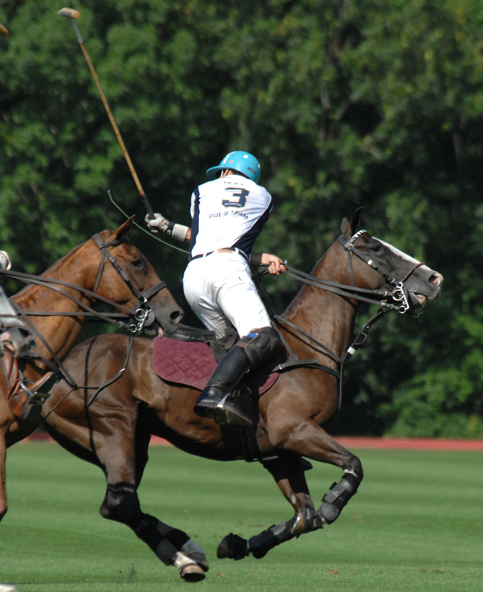 Okatie Rotary Polo for Charity