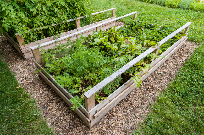 Backyard Farming