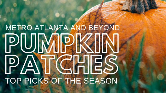 Top Picks for Pumpkin Patches