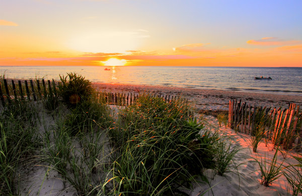Why I Chose Cape Cod