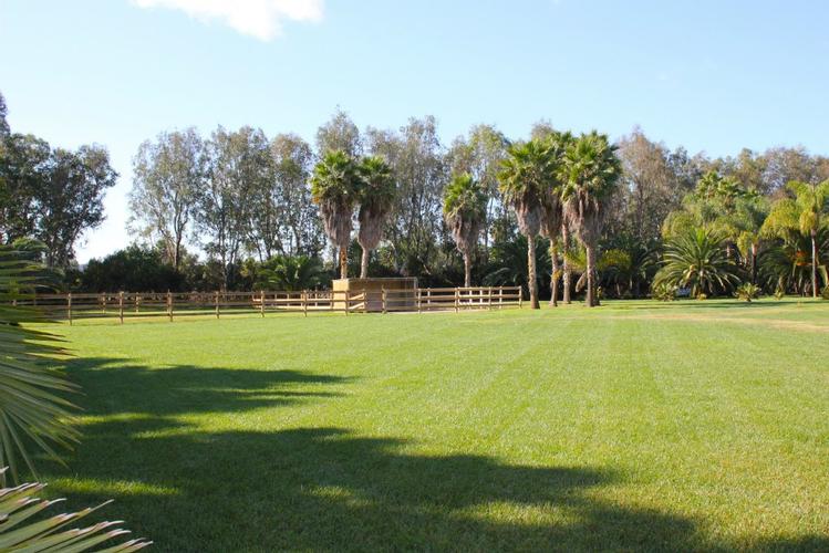 Living In Rancho Santa Fe