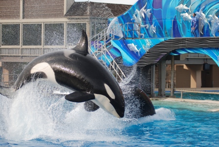 Top San Diego Attractions – Things to Do This Weekend!
