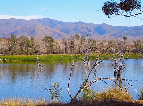 South Bay