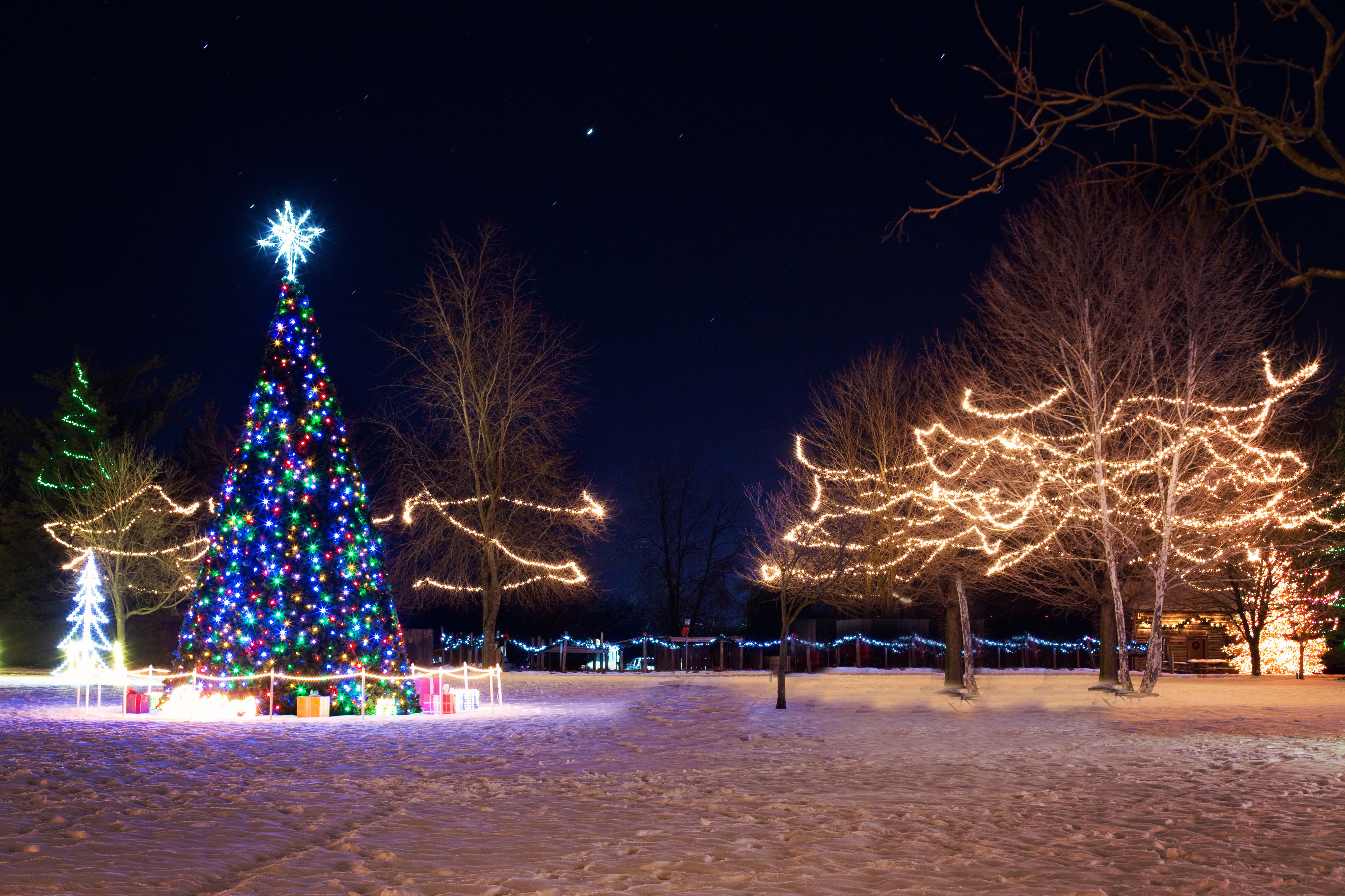 December Family Fun!  Christmas parades, tree lightings and holiday strolls