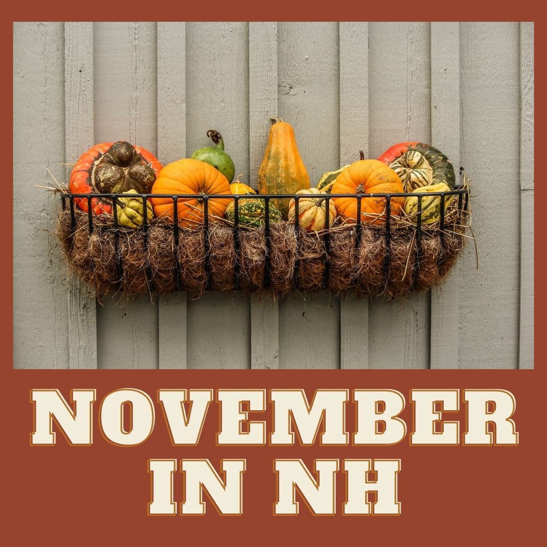 November Events to check out in NH!