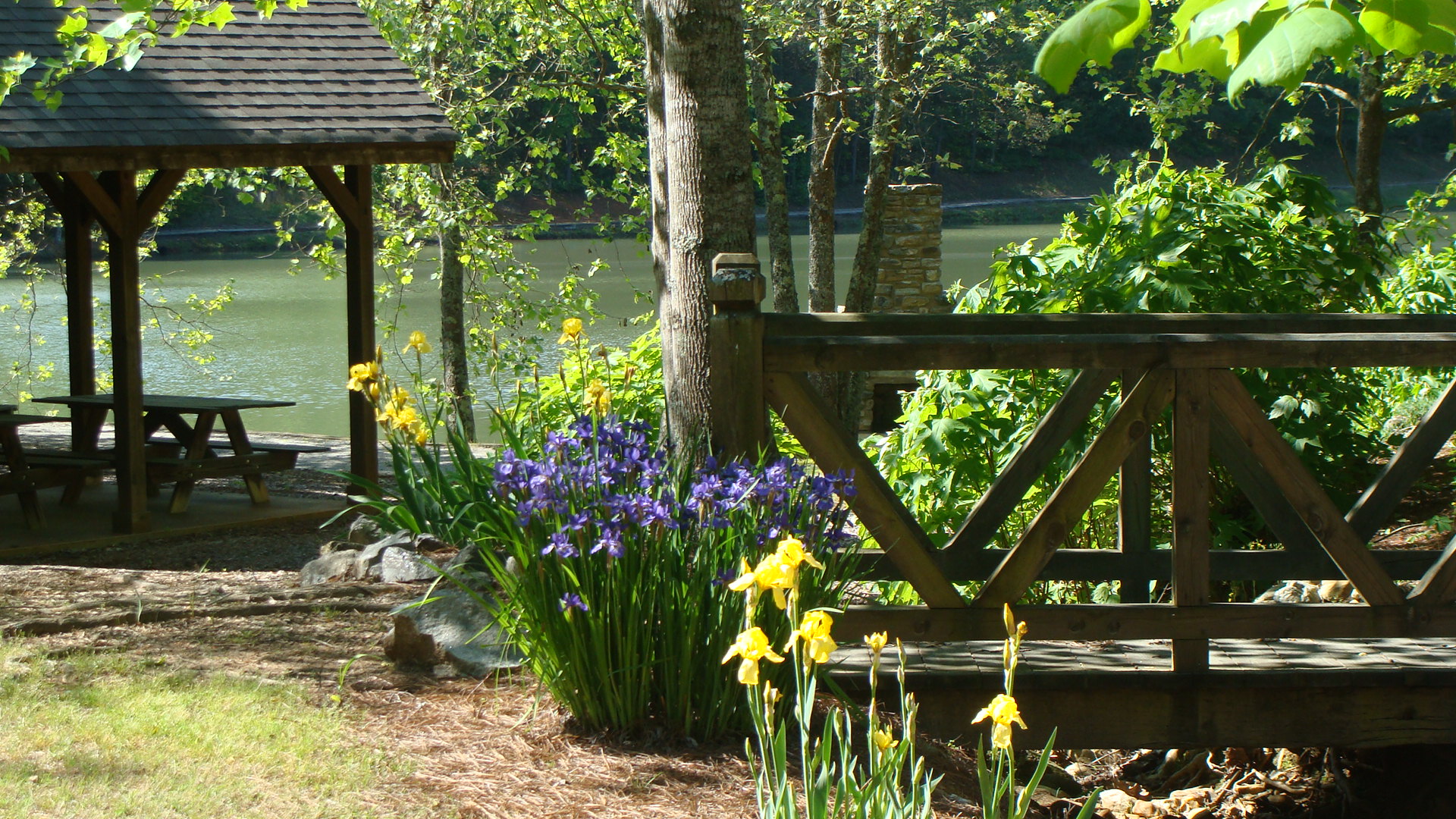 Chimney Lake - Cleveland, GA