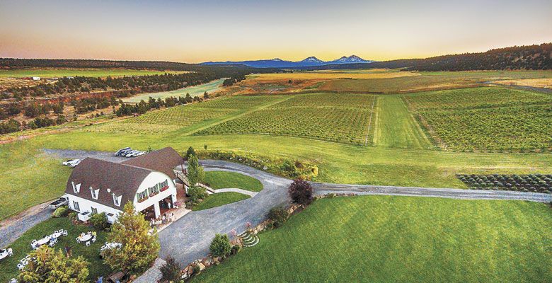 Visit Redmond