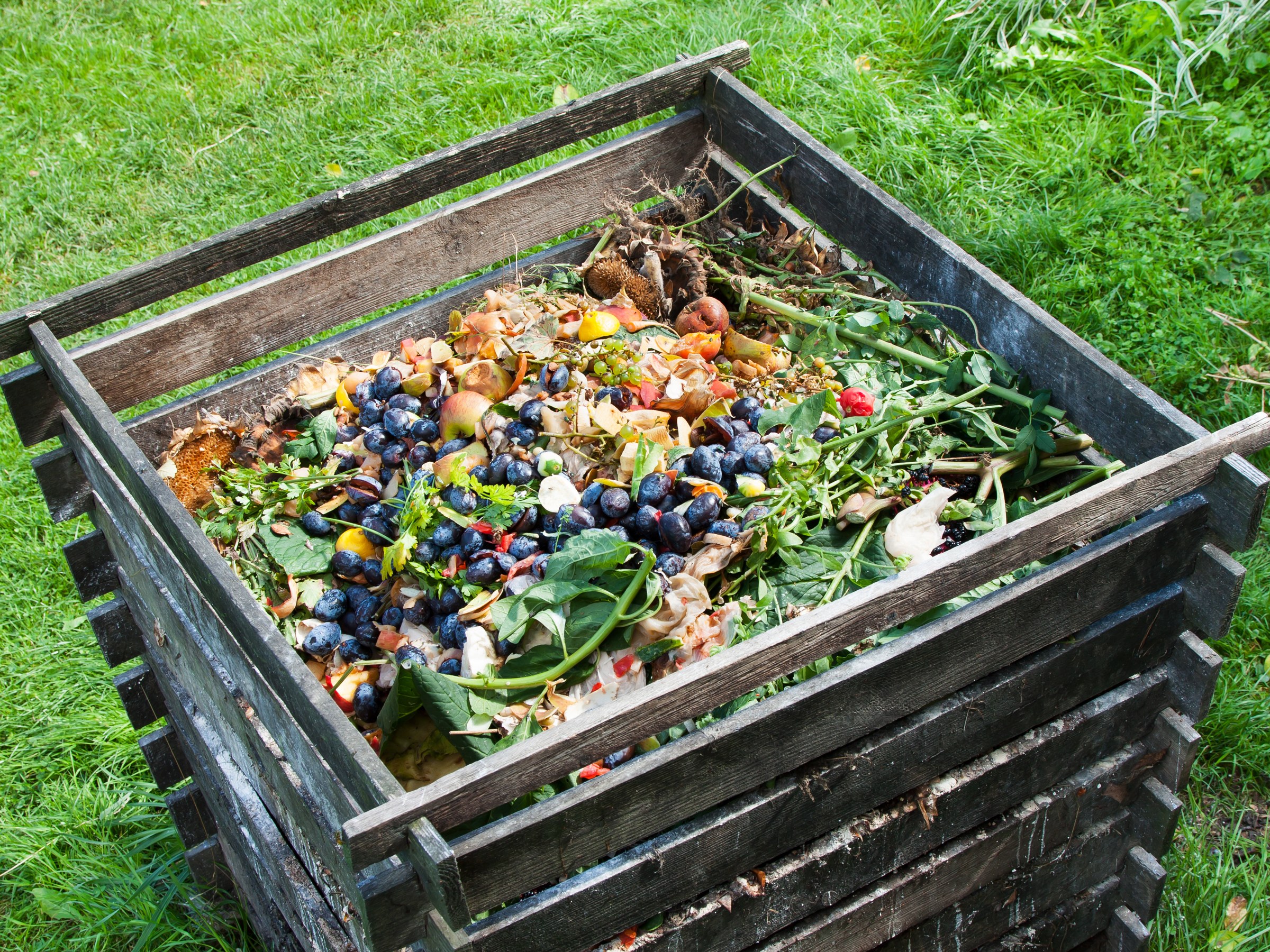 Food Waste Compost Program 