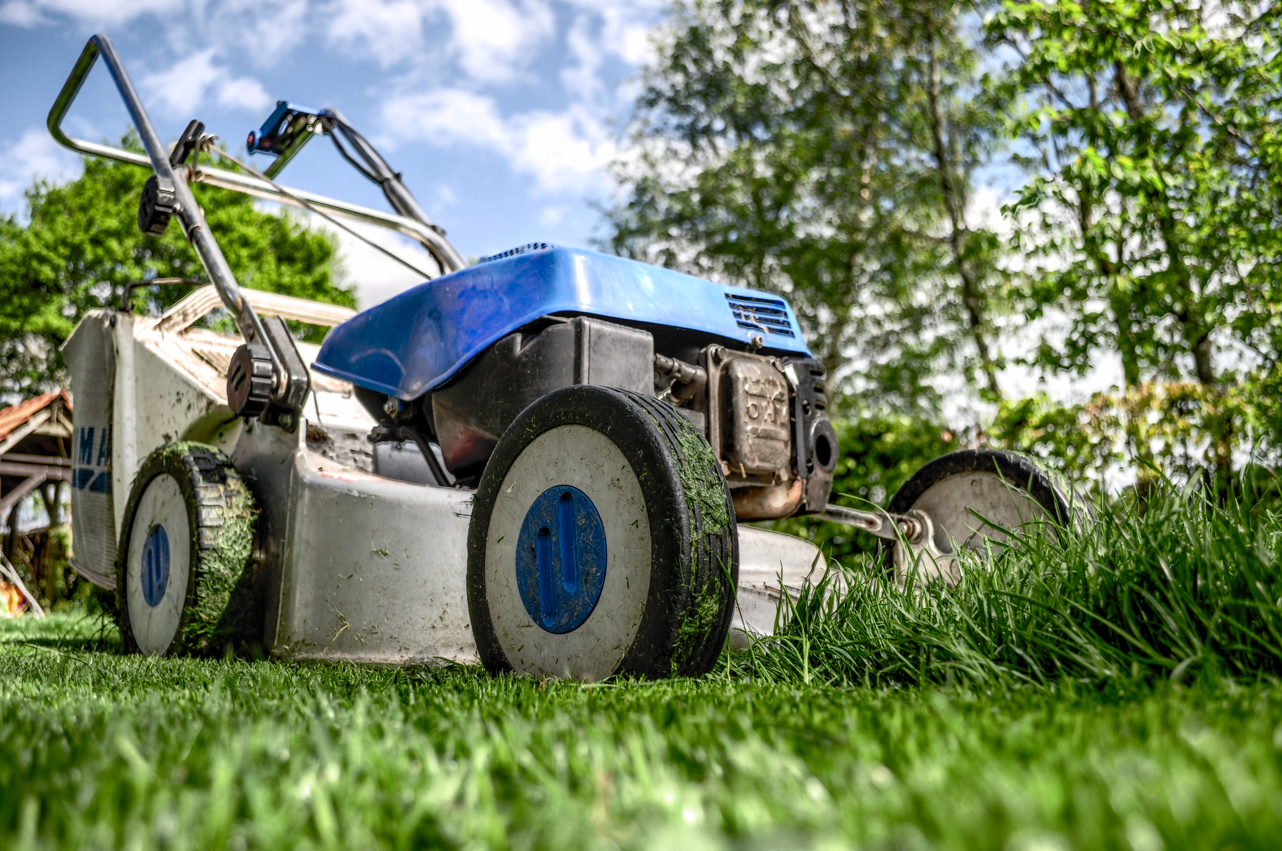 Spring Maintenance Tips For a Great Looking Lawn