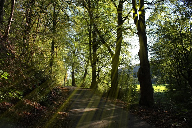 Local Walking Paths & Hiking Trails You Don’t Want to Miss