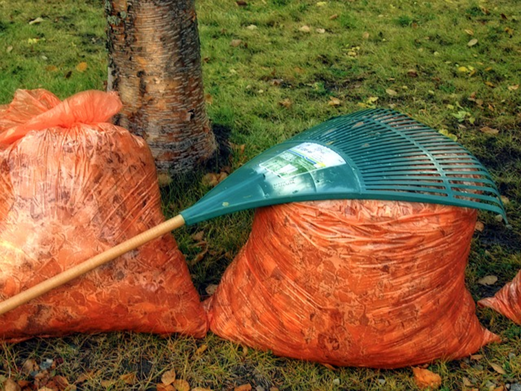 Preparing Your Flowers & Vegetable Beds for Winter