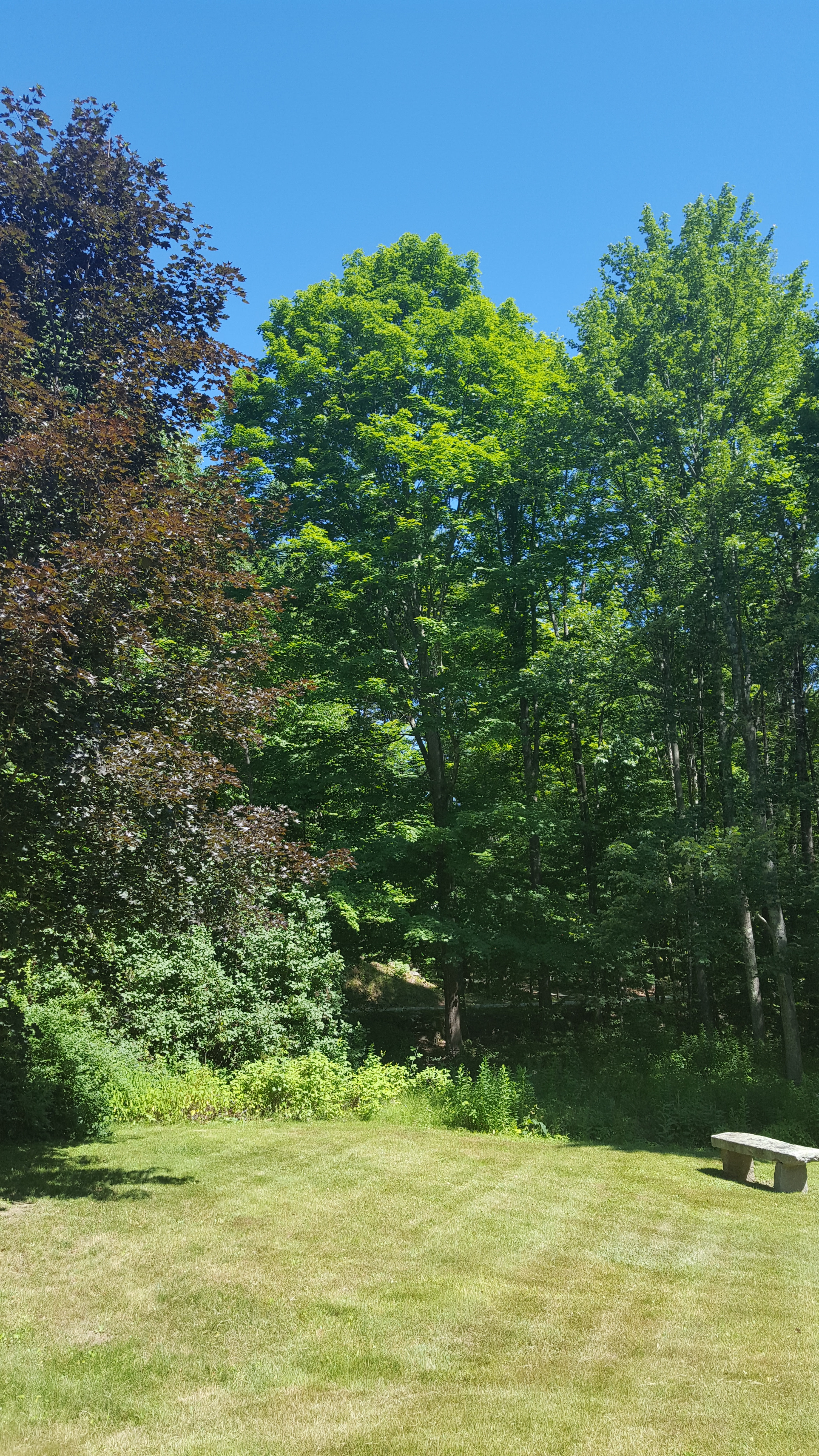 NH Summer Events
