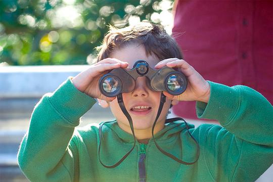 Turn Off the Video Games and Turn Your Kids into Nature Reporters
